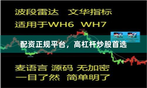 配资正规平台，高杠杆炒股首选